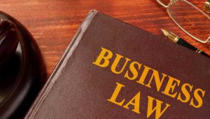 ماده ۲۲۳ قانون تجارت بیانگر چیست